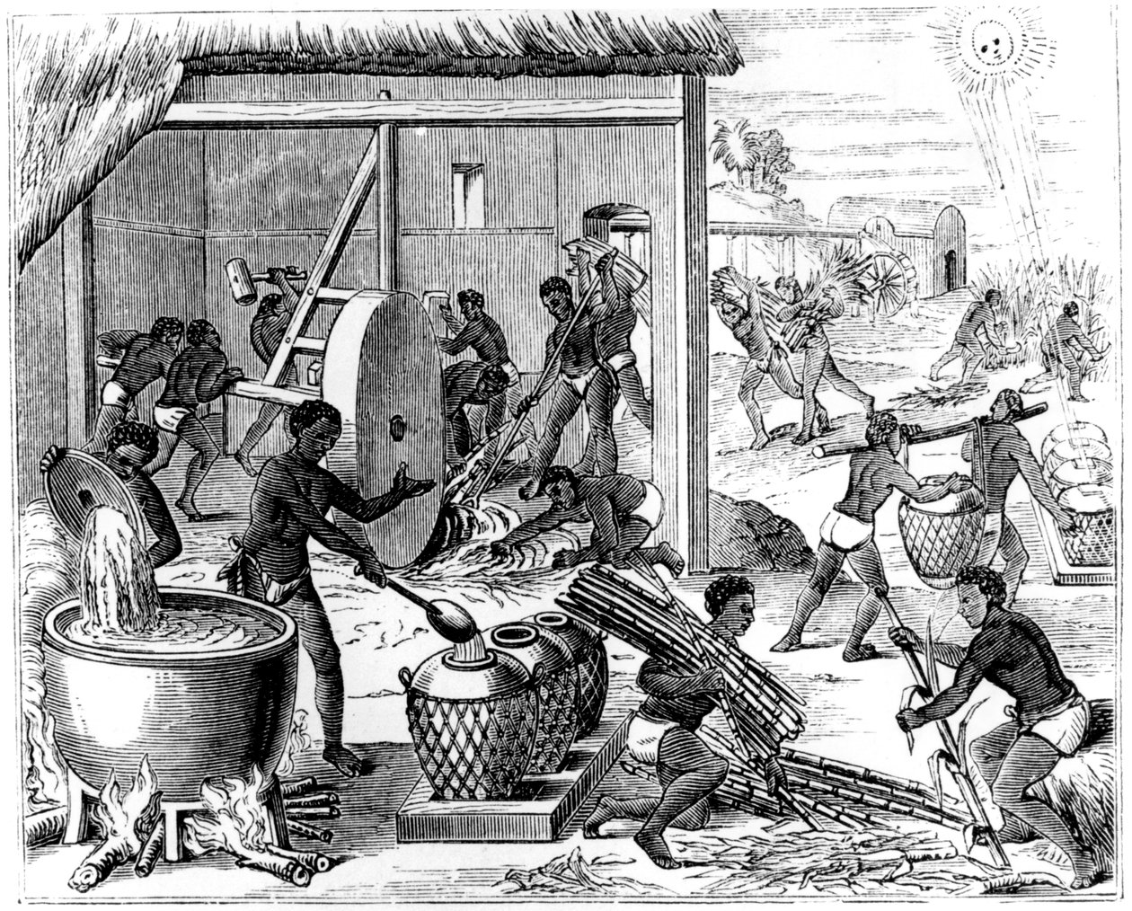Producción de azúcar, 1873 de Unbekannt