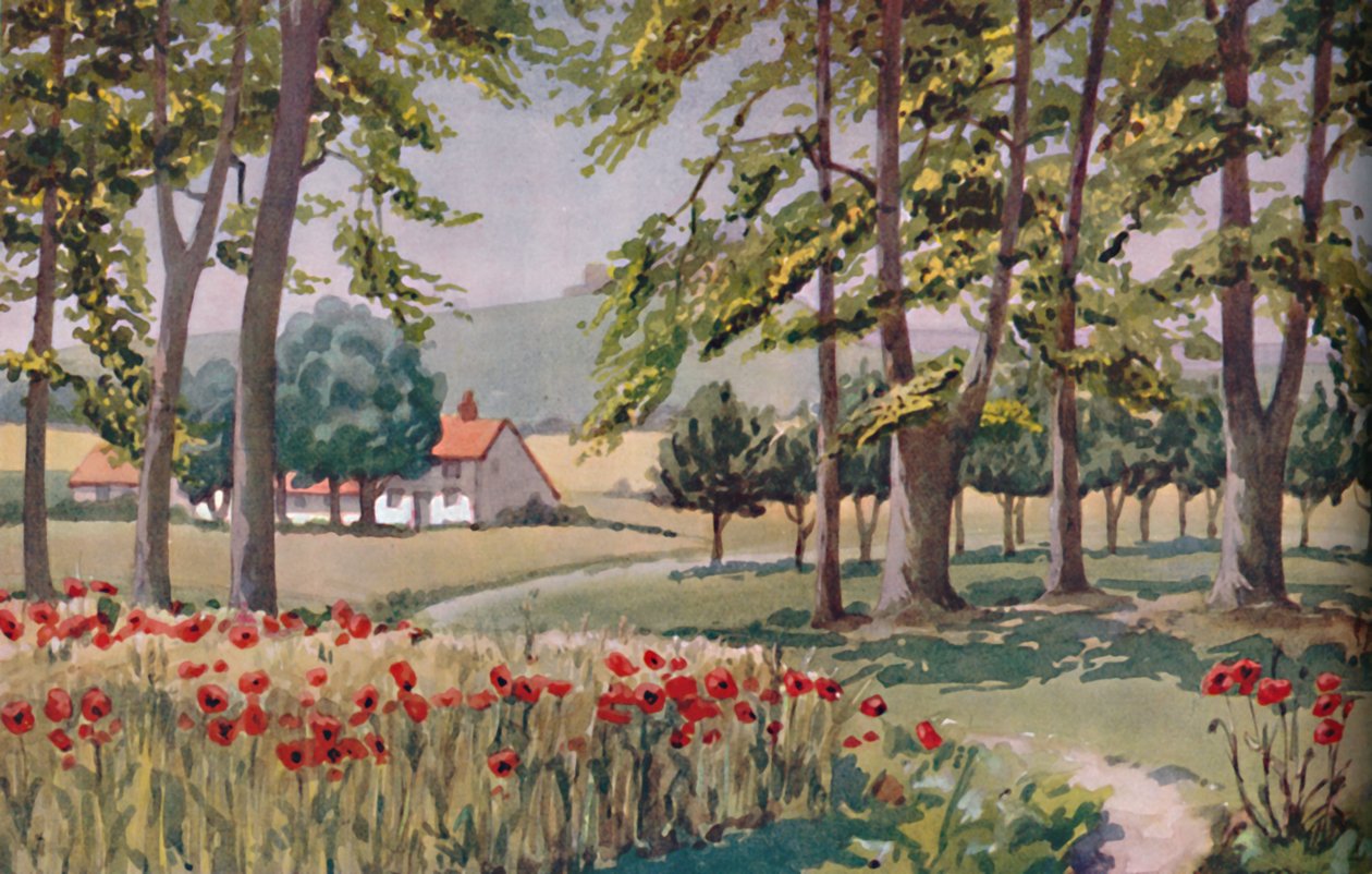 Verano - Los cambios físicos, químicos y biológicos provocados por el sol durante el año, 1935 de Unbekannt