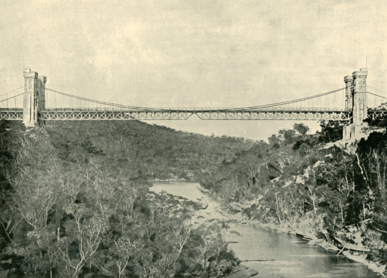 Puente colgante, North Sydney, 1901 de Unbekannt
