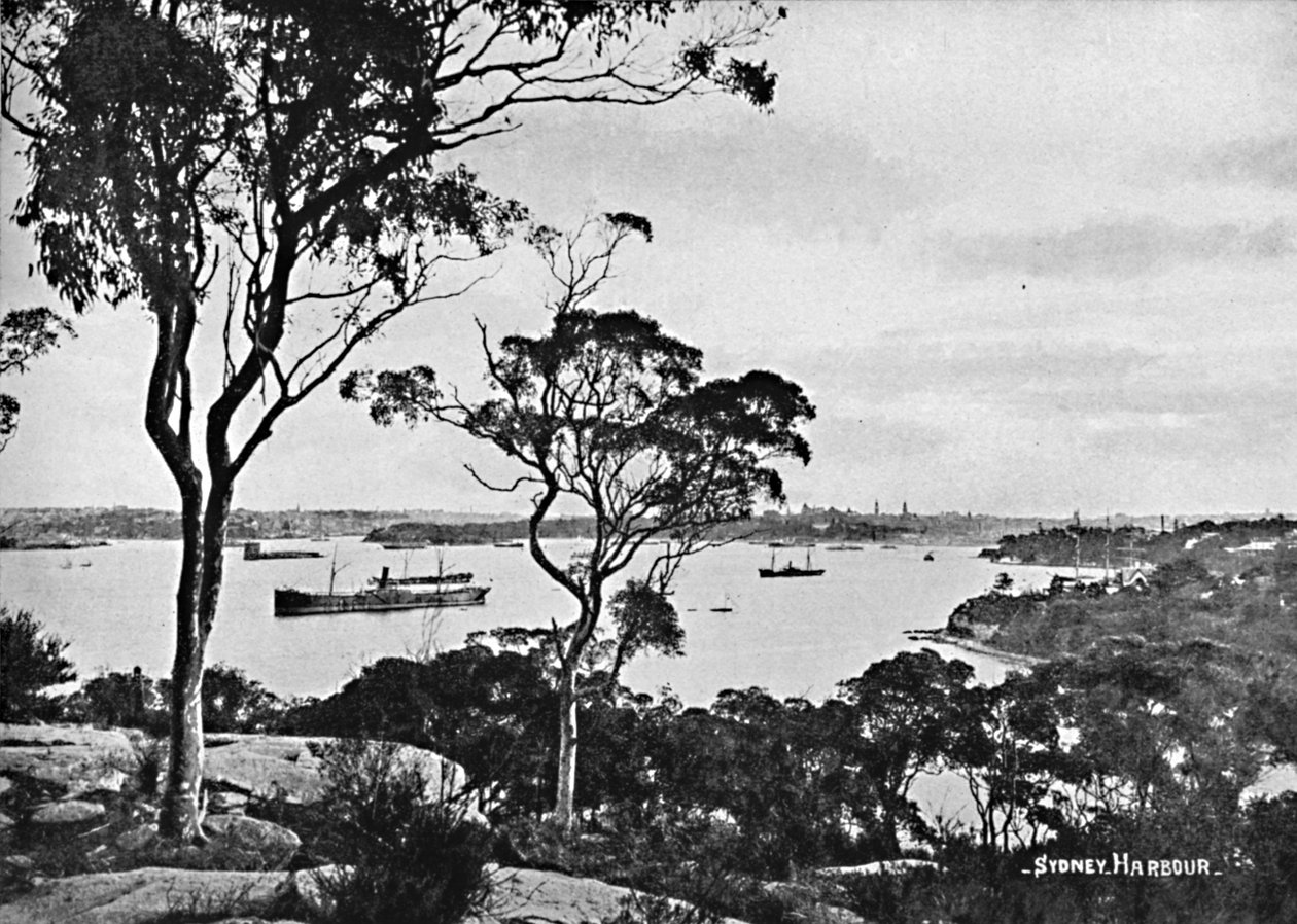 Puerto de Sídney, desde Cremorne Point, c1900 de Unbekannt