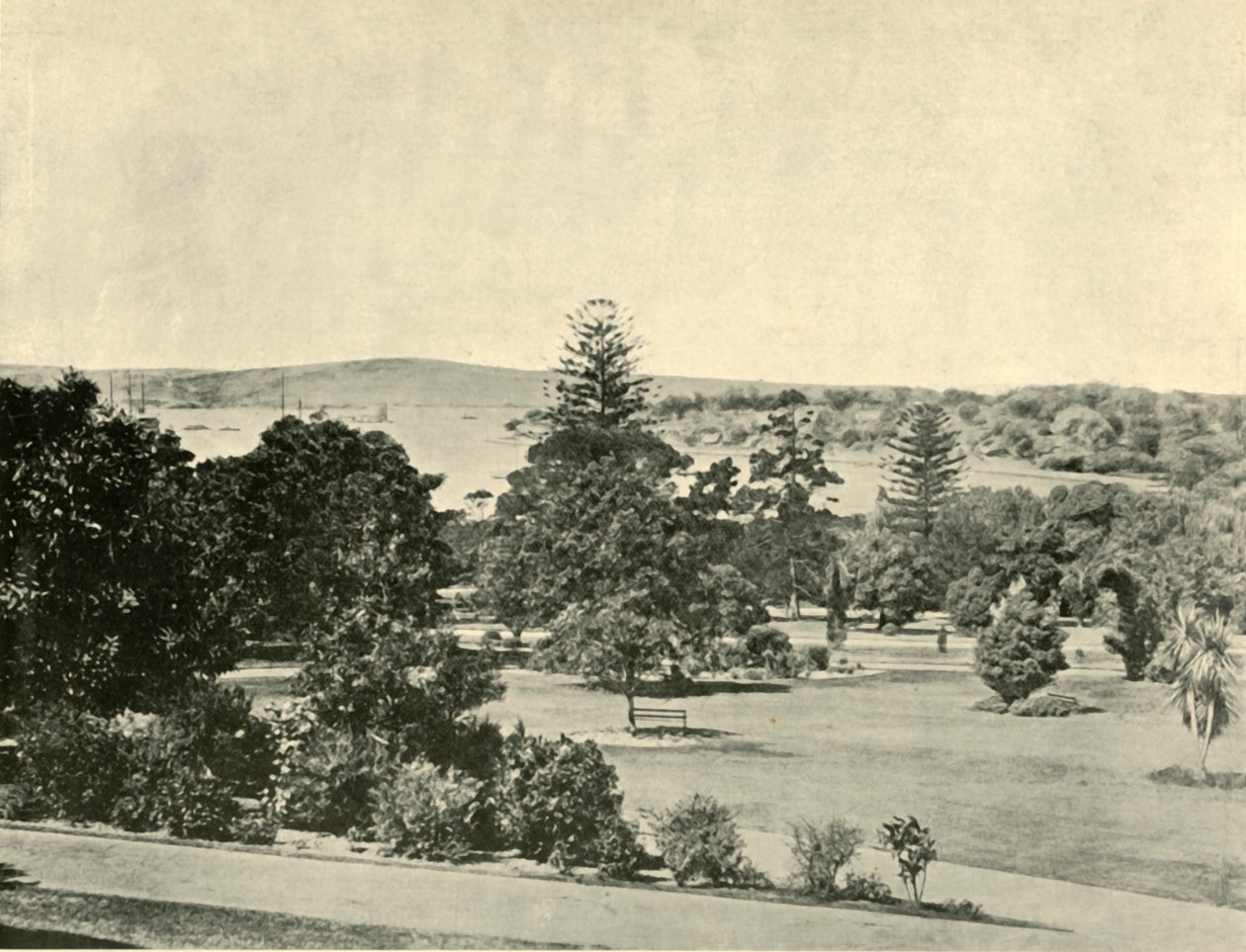 Los Jardines Botánicos de Sídney, 1901 de Unbekannt