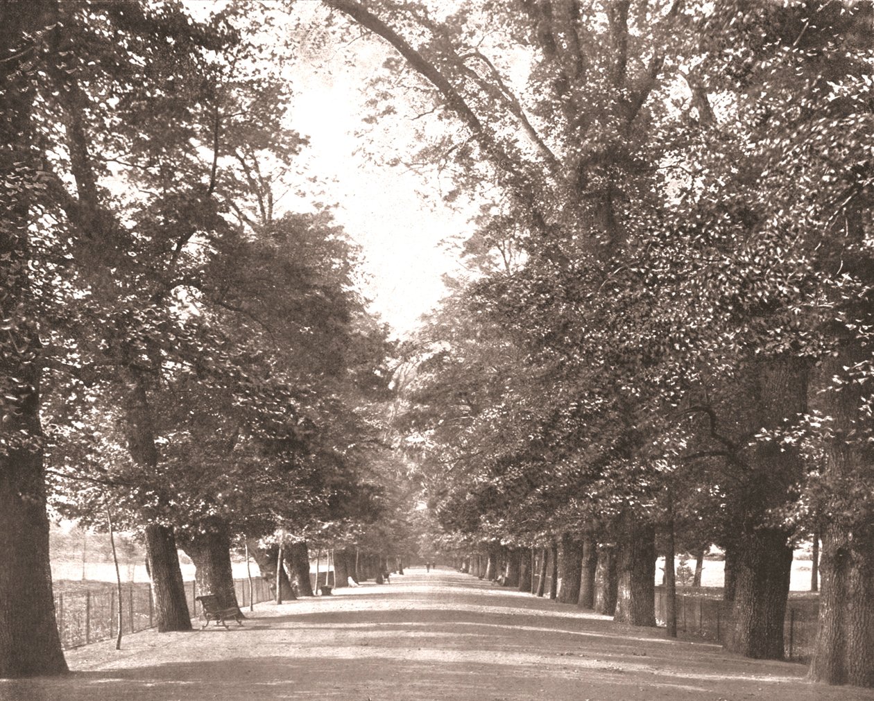 The Broad Walk, Oxford, 1894 de Unbekannt