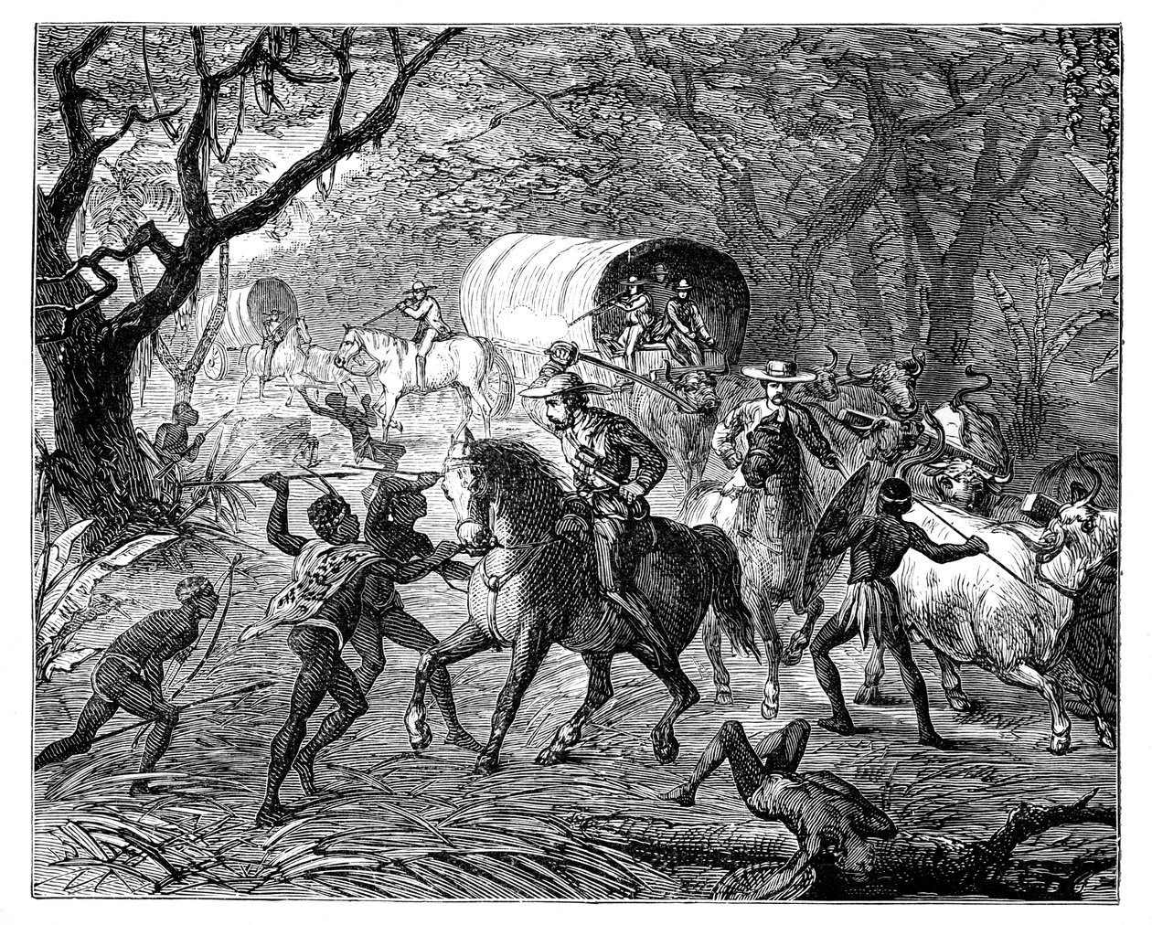 La Guerra de los Cafres: Nativos atacando un convoy, siglo XIX de Unbekannt