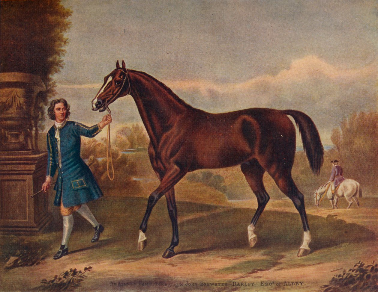 El Darley Arabian, c. 1720, 1922 de Unbekannt