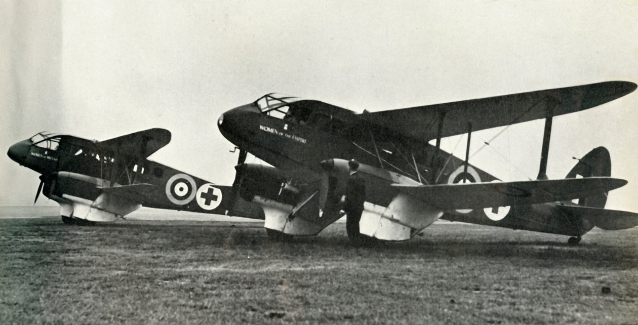 La ambulancia De Havilland, 1941 de Unbekannt