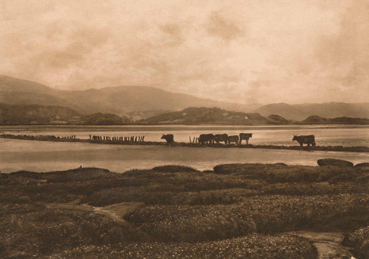 El Dovey en Ynyslas, 1902 de Unbekannt