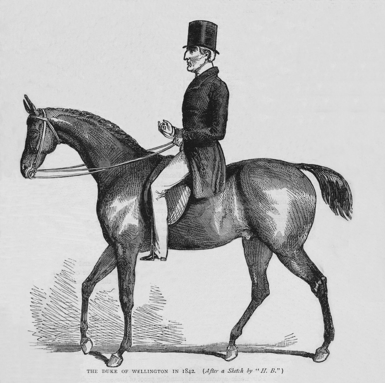 El Duque de Wellington, c1842 de Unbekannt