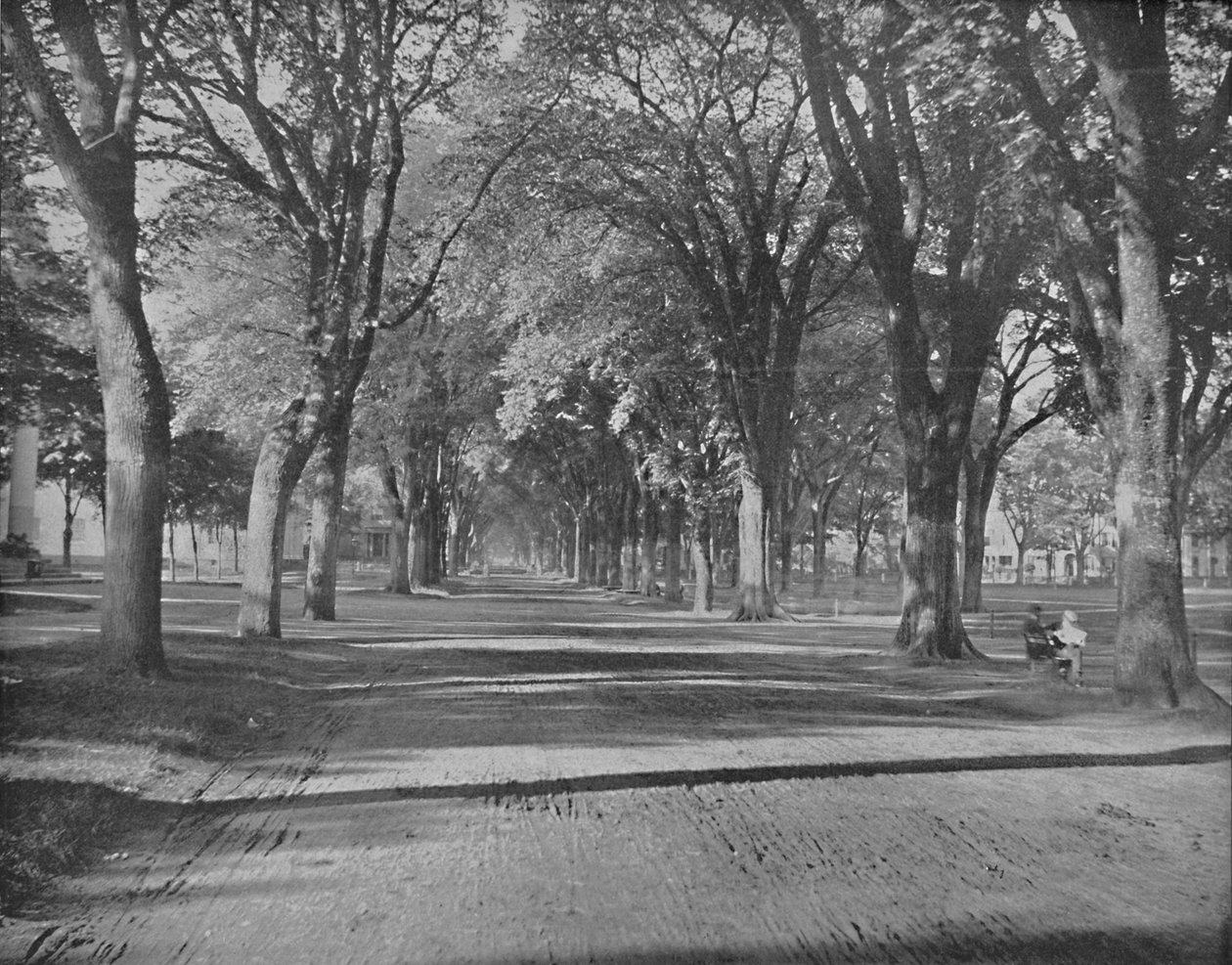 Los Olmos, New Haven, Conn., c. 1897 de Unbekannt