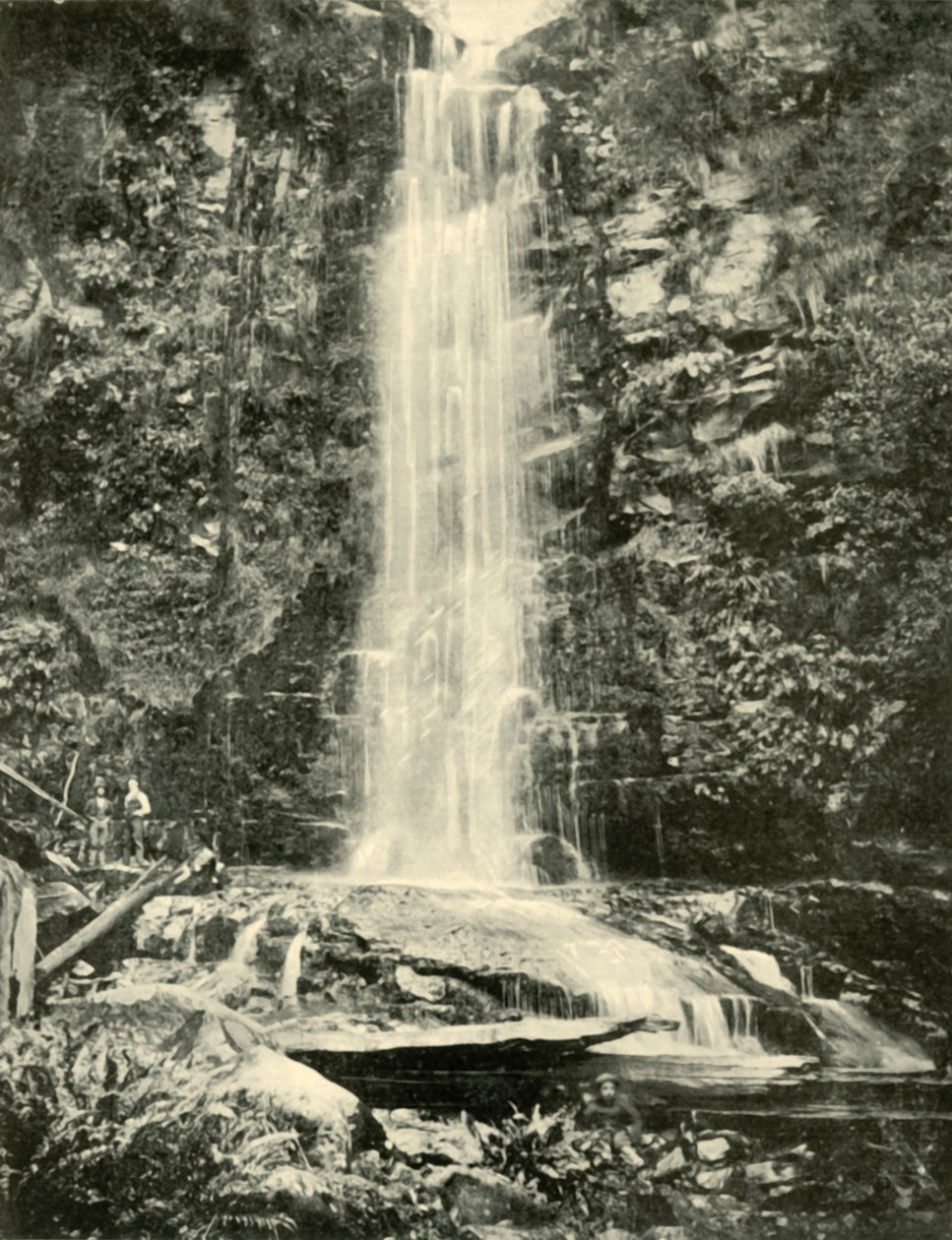 Las Cataratas Erskine, cerca de Lorne, 1901 de Unbekannt