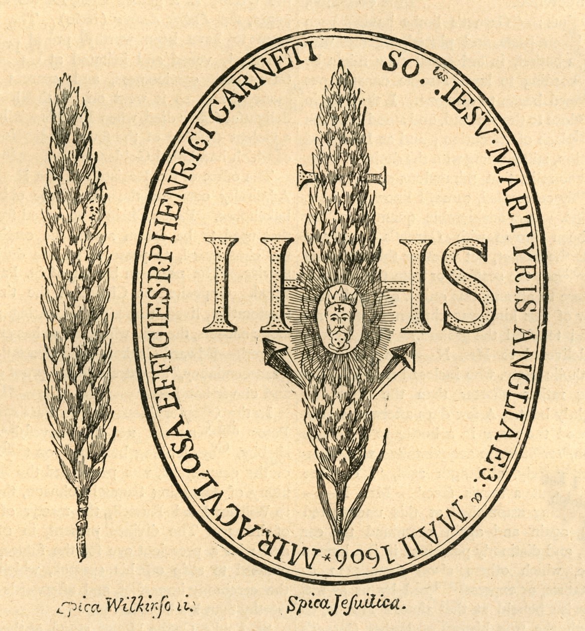 La cara en la paja. - De la Antología de Abbots, 1613, 1897 de Unbekannt