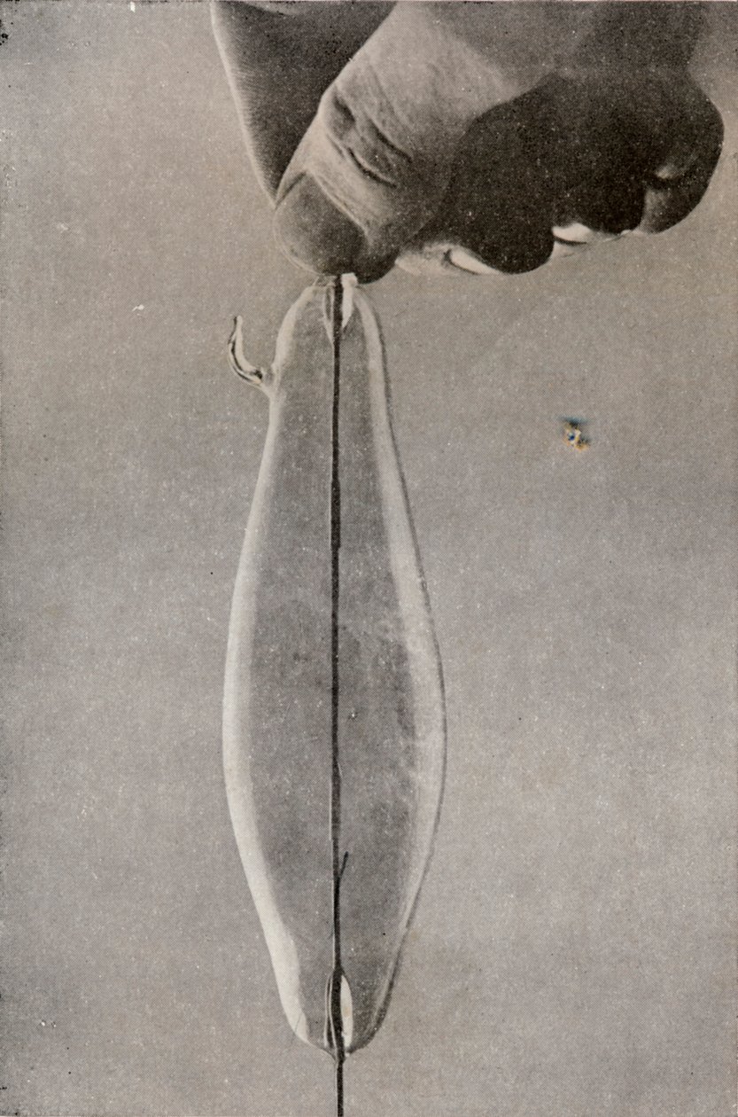 La primera lámpara eléctrica incandescente, c1916 de Unbekannt