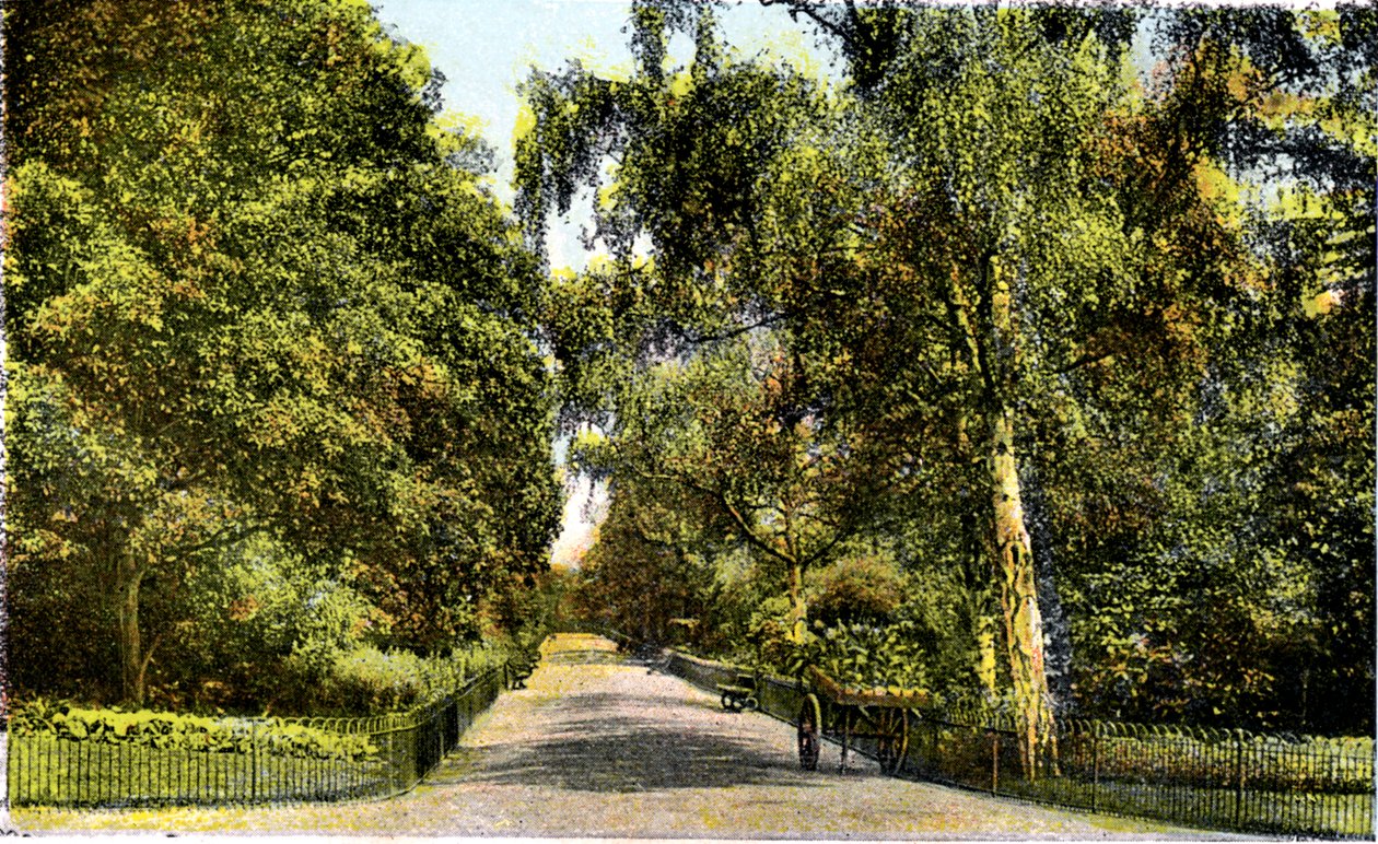 El Paseo de las Flores, Jardines de Kensington, Londres, siglo XX de Unbekannt