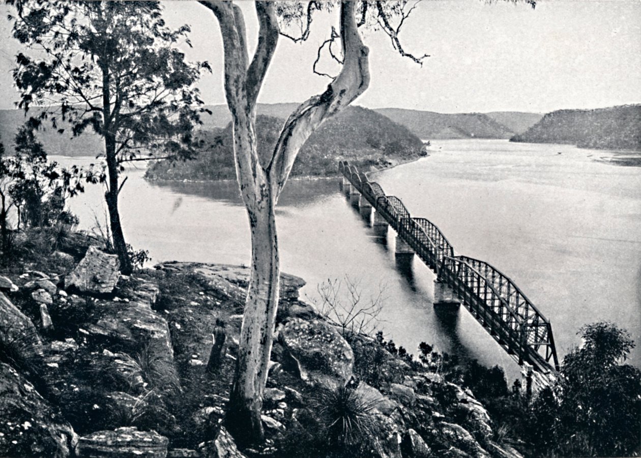 El río Hawkesbury y el puente, c. 1900 de Unbekannt