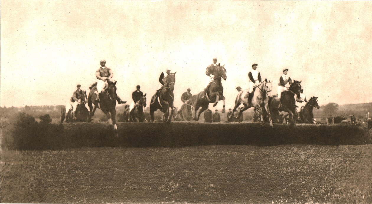 La Copa de Caza, Punchestown de Unbekannt