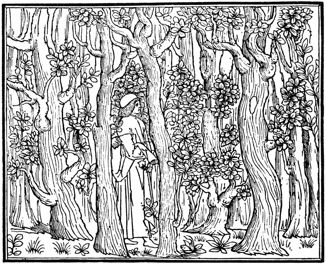 El amante en el bosque, 1499 de Unbekannt
