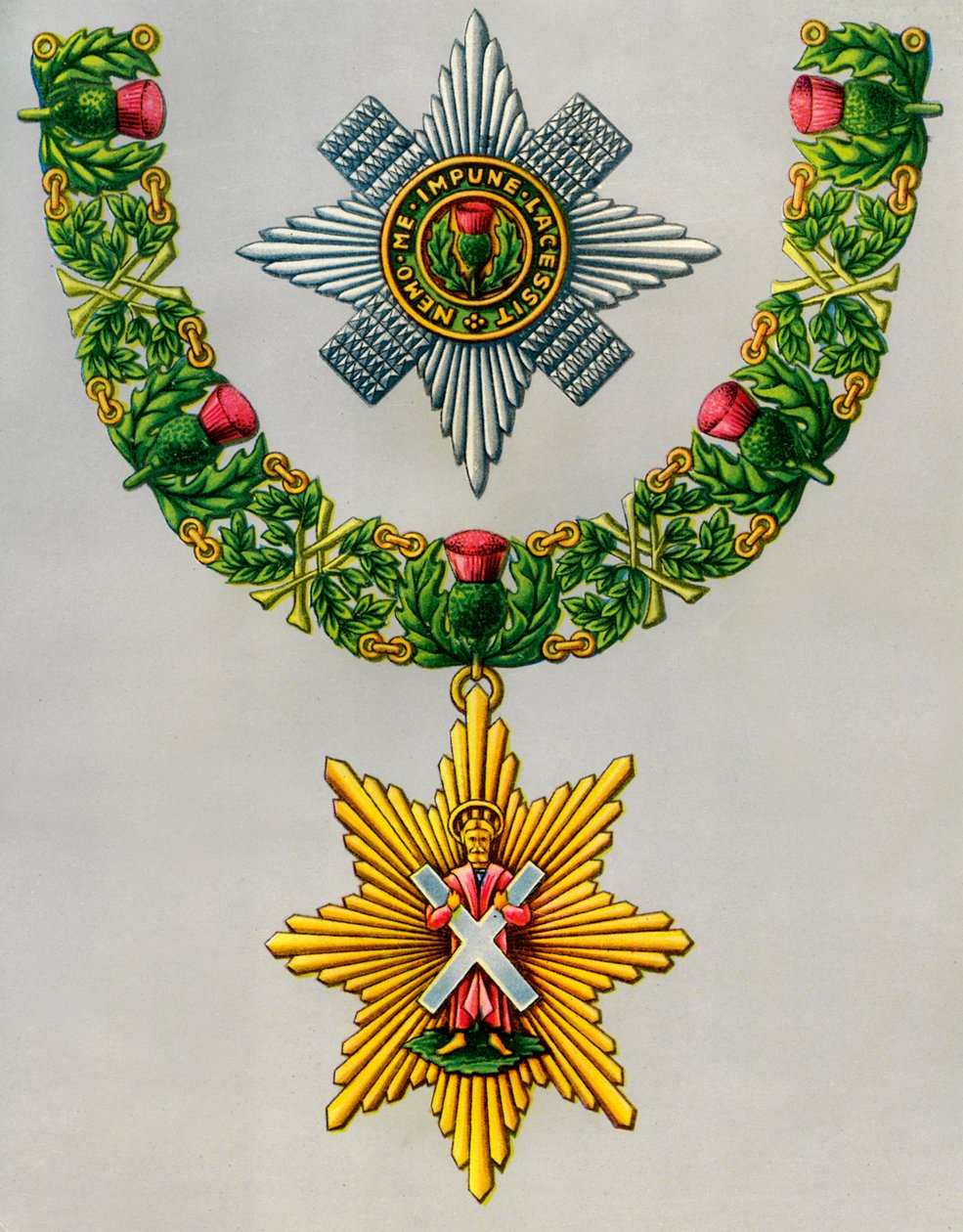 La Orden Más Noble y Más Antigua del Cardo, 1941 de Unbekannt