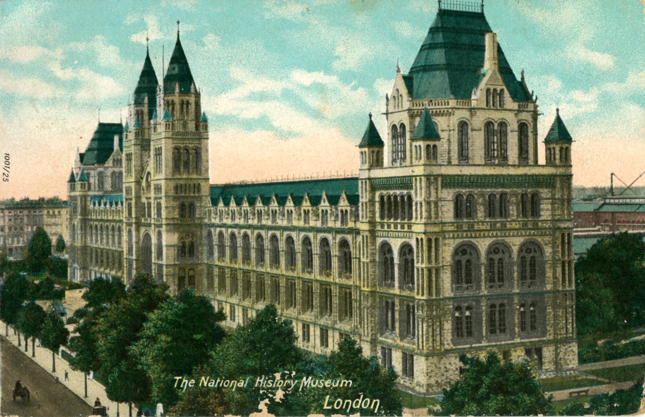 El Museo de Historia Natural, Londres, c1910 de Unbekannt