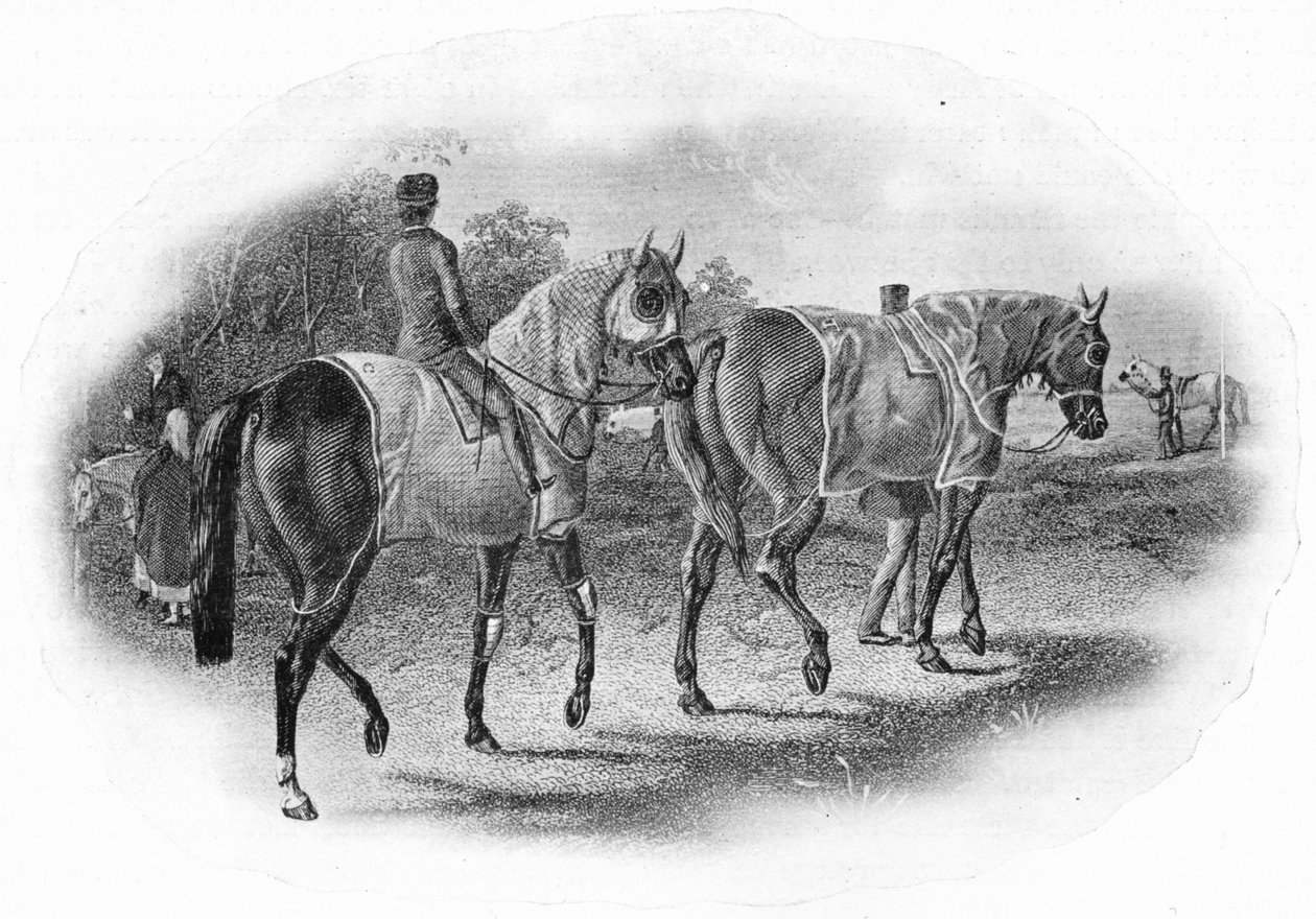 La Próxima Carrera, siglo XIX de Unbekannt