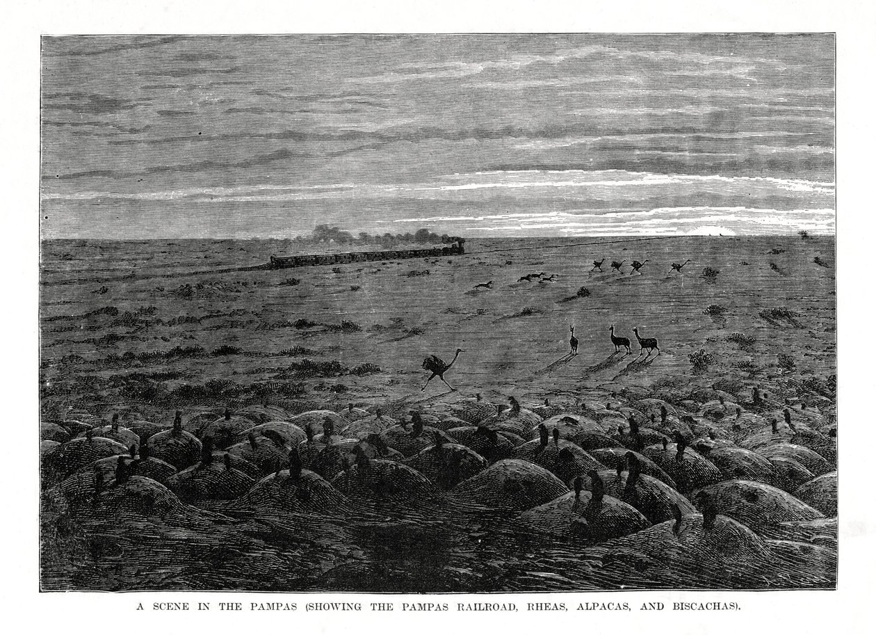 El ferrocarril de las Pampas, tierras bajas de América del Sur de Unbekannt