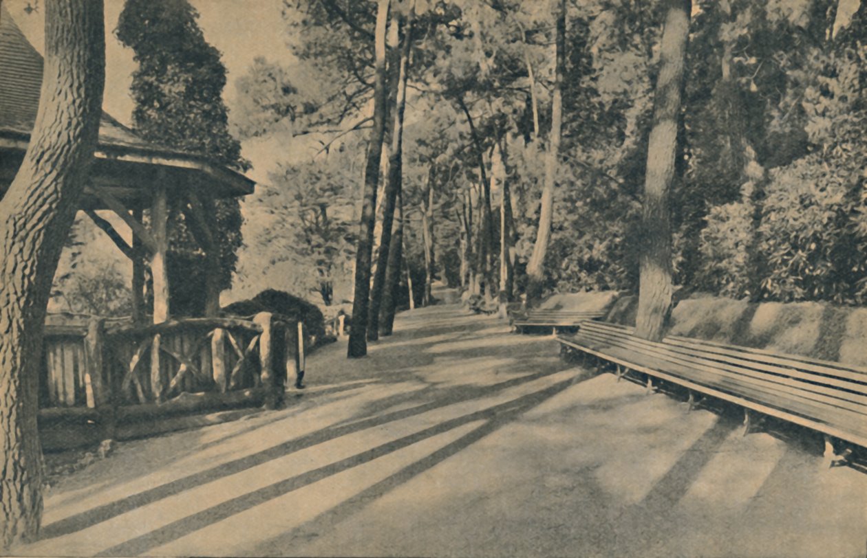 El Paseo de los Pinos, 1929 de Unbekannt