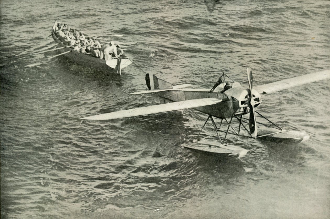El regreso de la paloma al arca, 1919 de Unbekannt