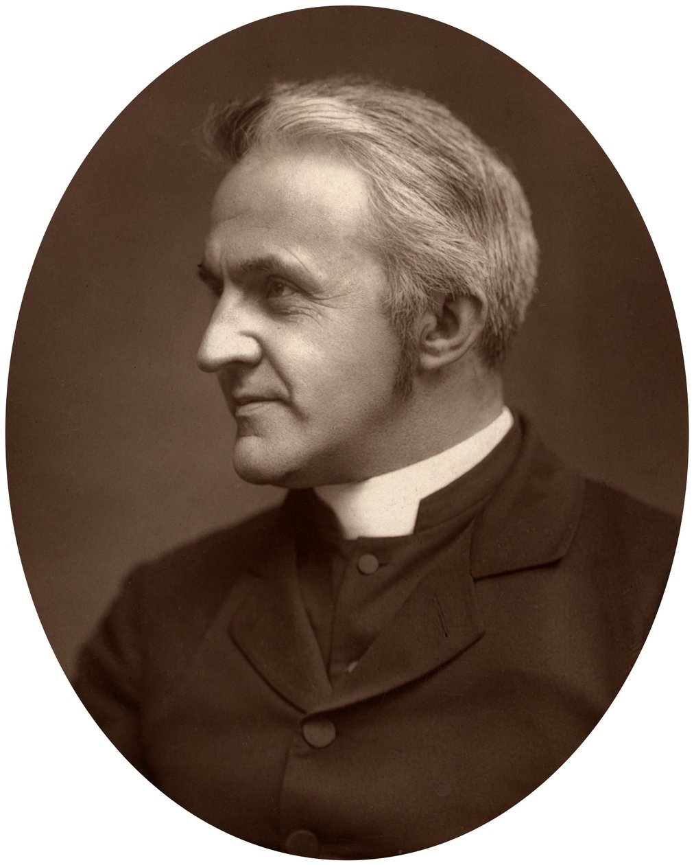 El Reverendo Henry Parry Liddon, Canónigo de la Catedral de San Pablo, Londres, 1881 de Unbekannt