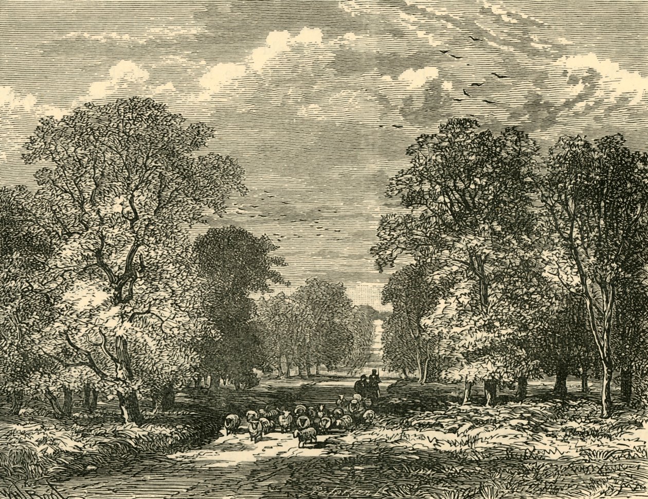 El camino de Southampton, 1898 de Unbekannt