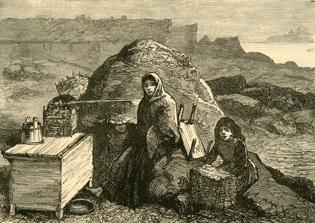 El estado de Irlanda: Una familia desalojada cerca de Errismore, c. 1880 de Unbekannt