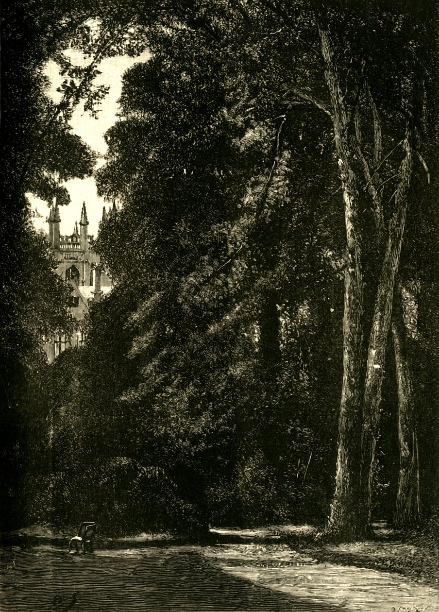 La Torre de Merton, desde el jardín, 1898 de Unbekannt