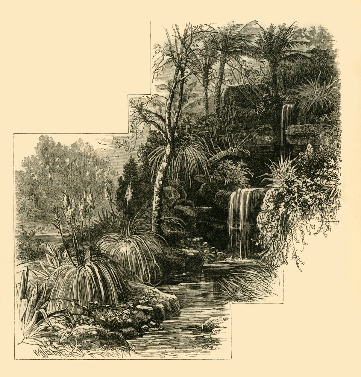 Los jardines tropicales, Battersea Park, c. 1878 de Unbekannt