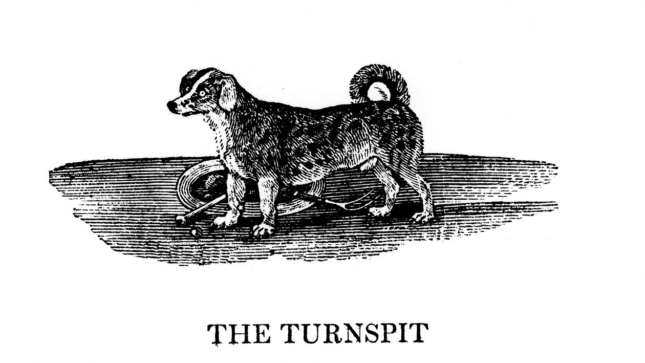 El Tunspit, 1790 de Unbekannt