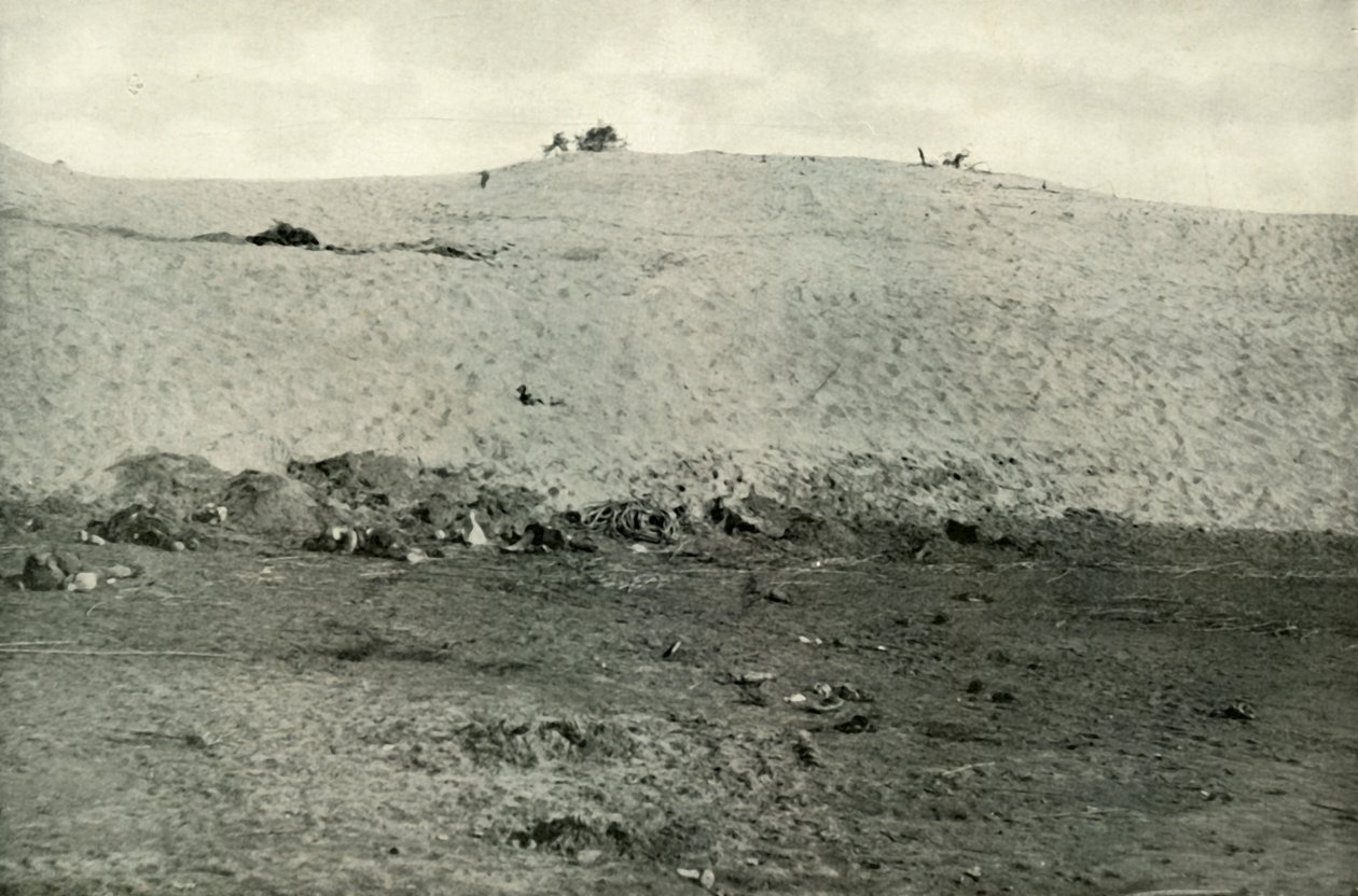 La derrota turca en el Canal de Suez, c1915 de Unbekannt
