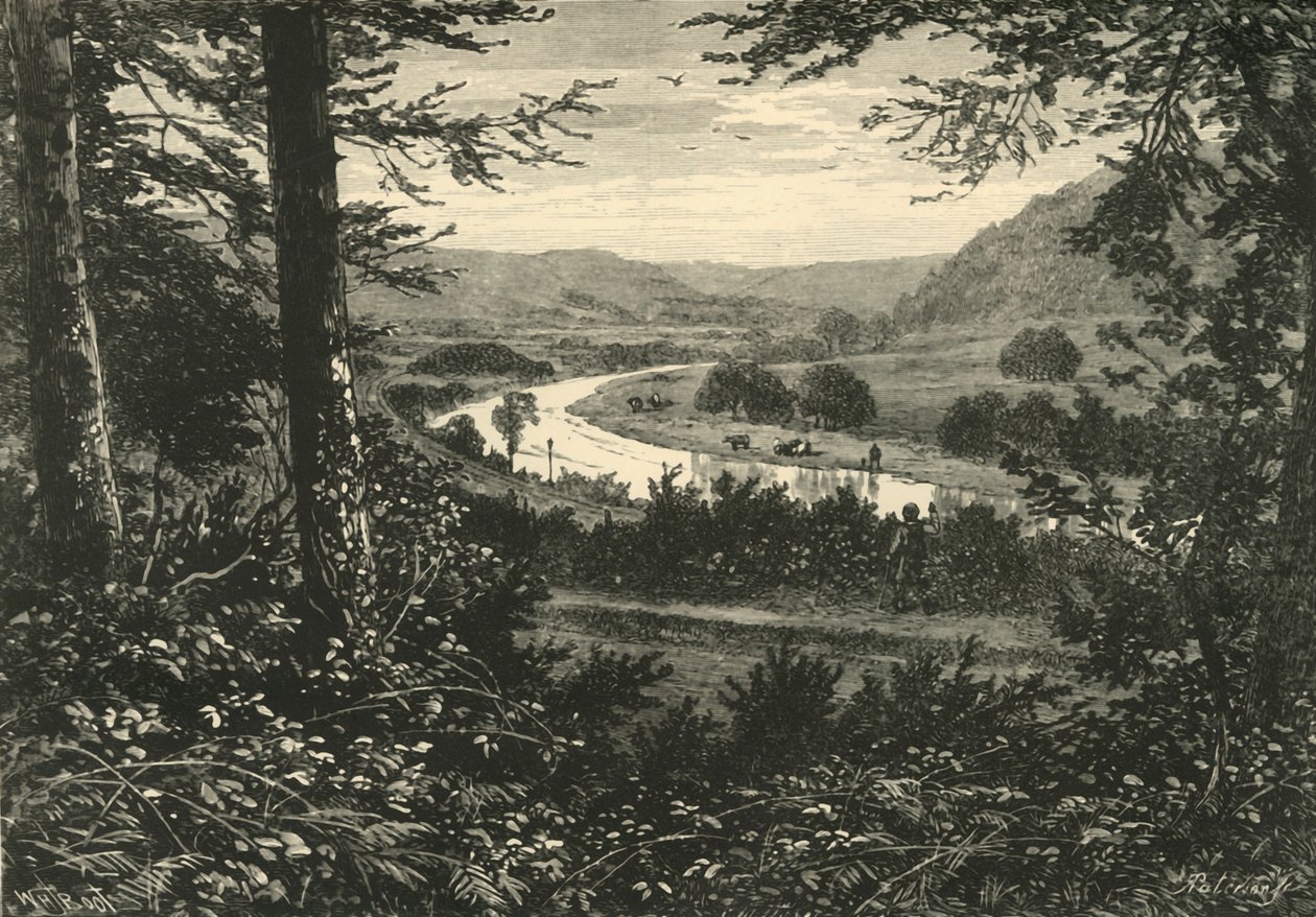 El Valle de Avoca, 1898 de Unbekannt