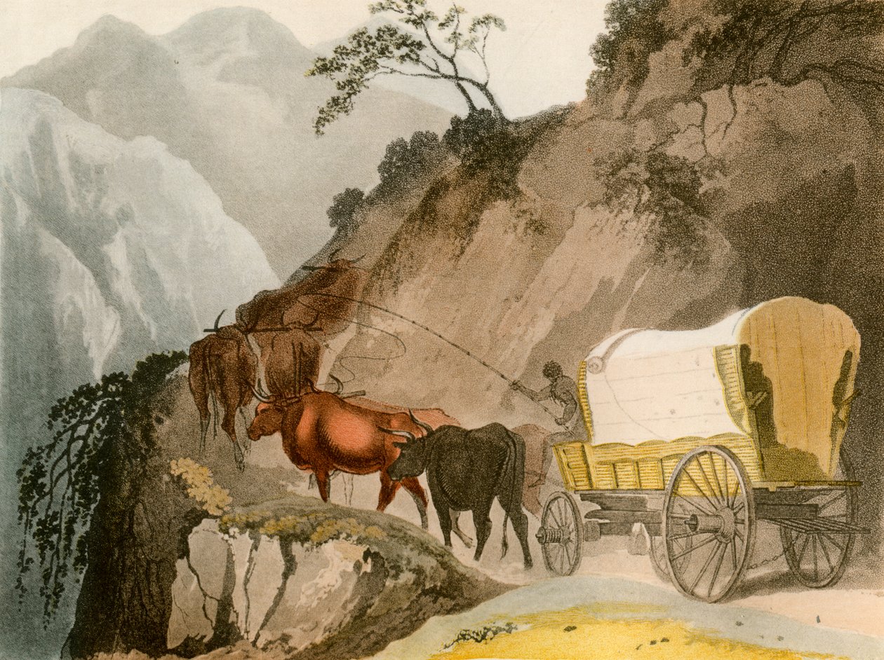 El camino del Voortrekker, 1931 de Unbekannt