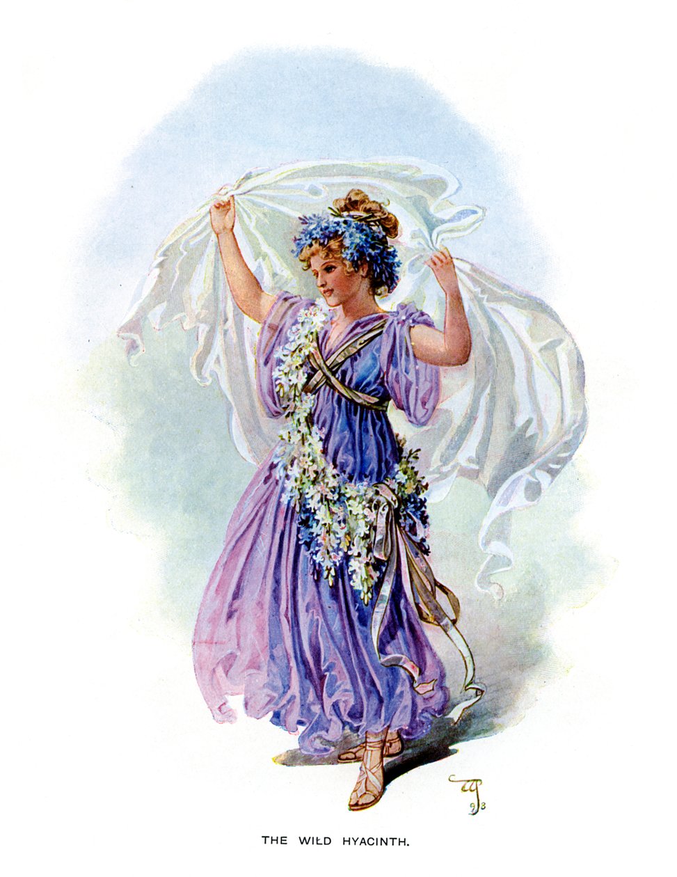 El Jacinto Silvestre, 1899 de Unbekannt