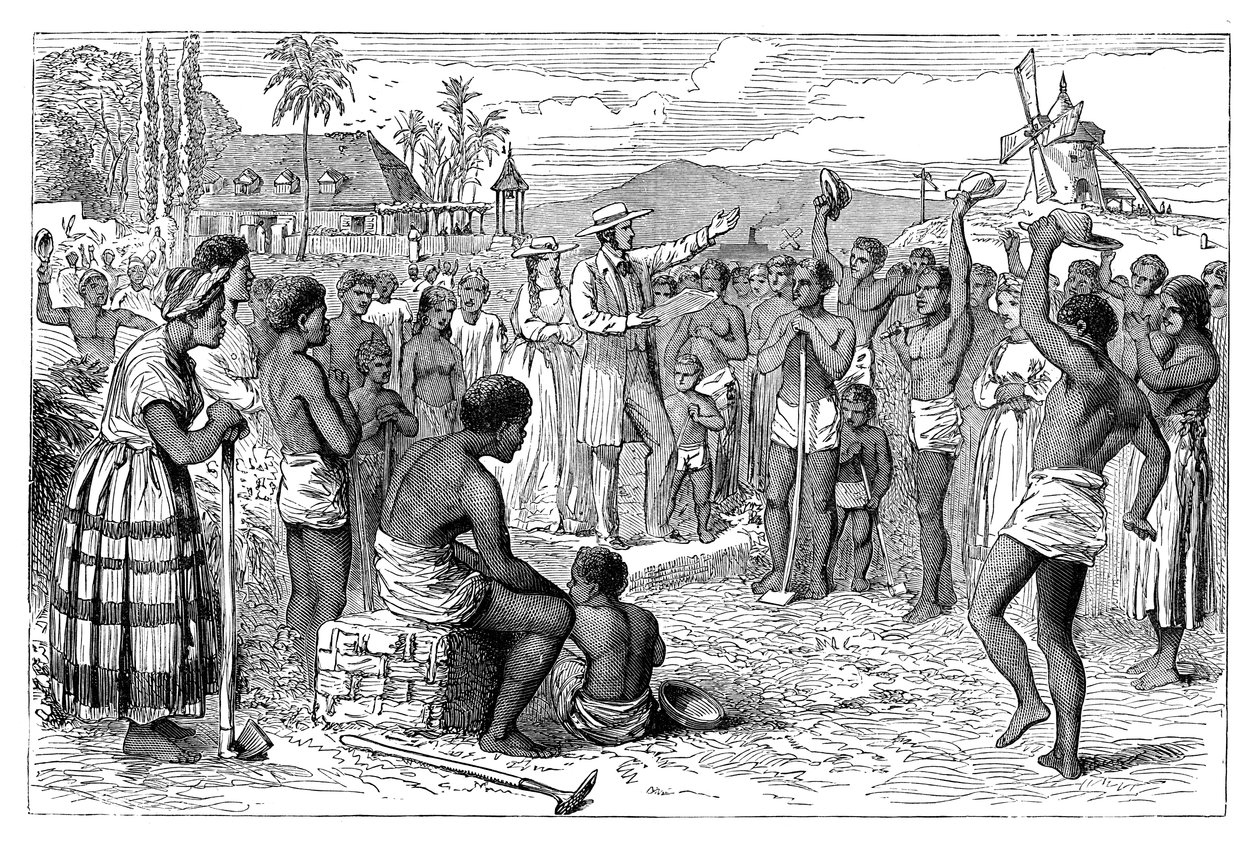 La emancipación de los esclavos en una plantación de las Indias Occidentales, principios del siglo XIX c1895 de Unbekannt