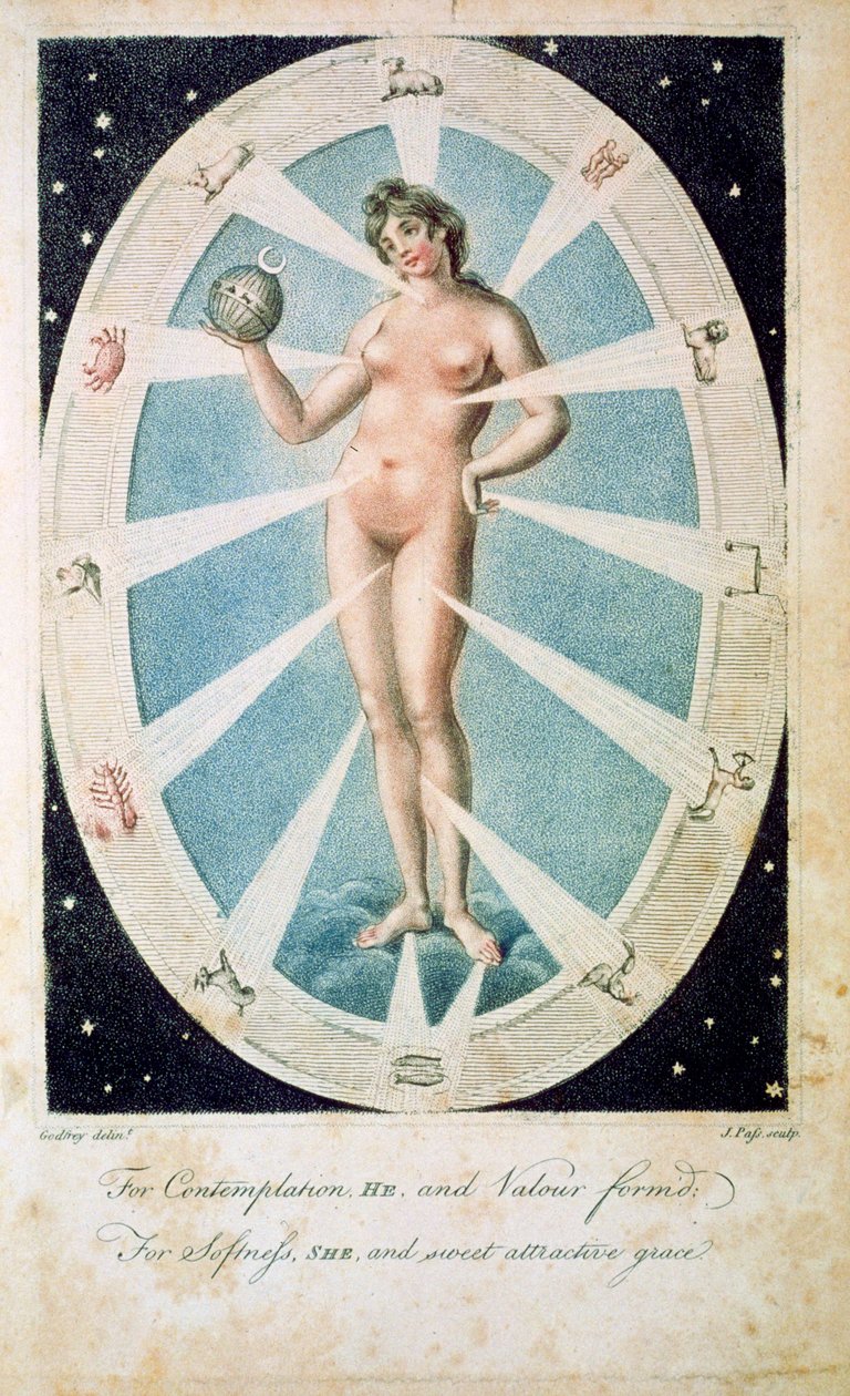 La forma femenina con símbolos astrológicos, 1790 de Unbekannt