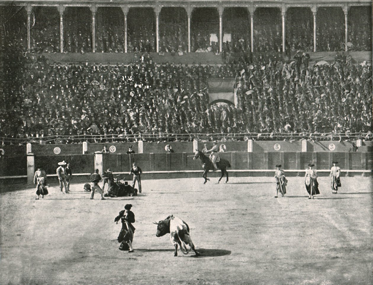 El interior de la Plaza de Toros, Madrid, España, 1895 de Unbekannt