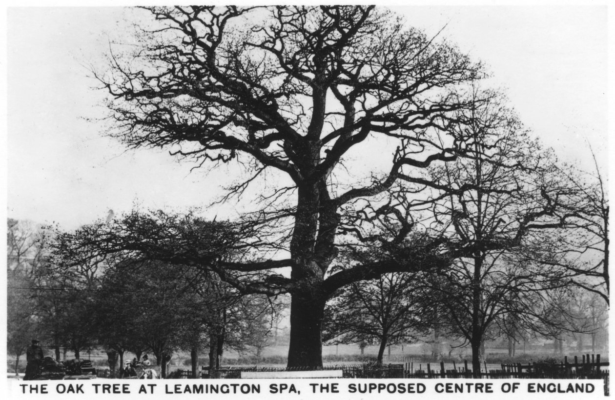 El roble en Leamington Spa, el supuesto centro de Inglaterra, 1936 de Unbekannt