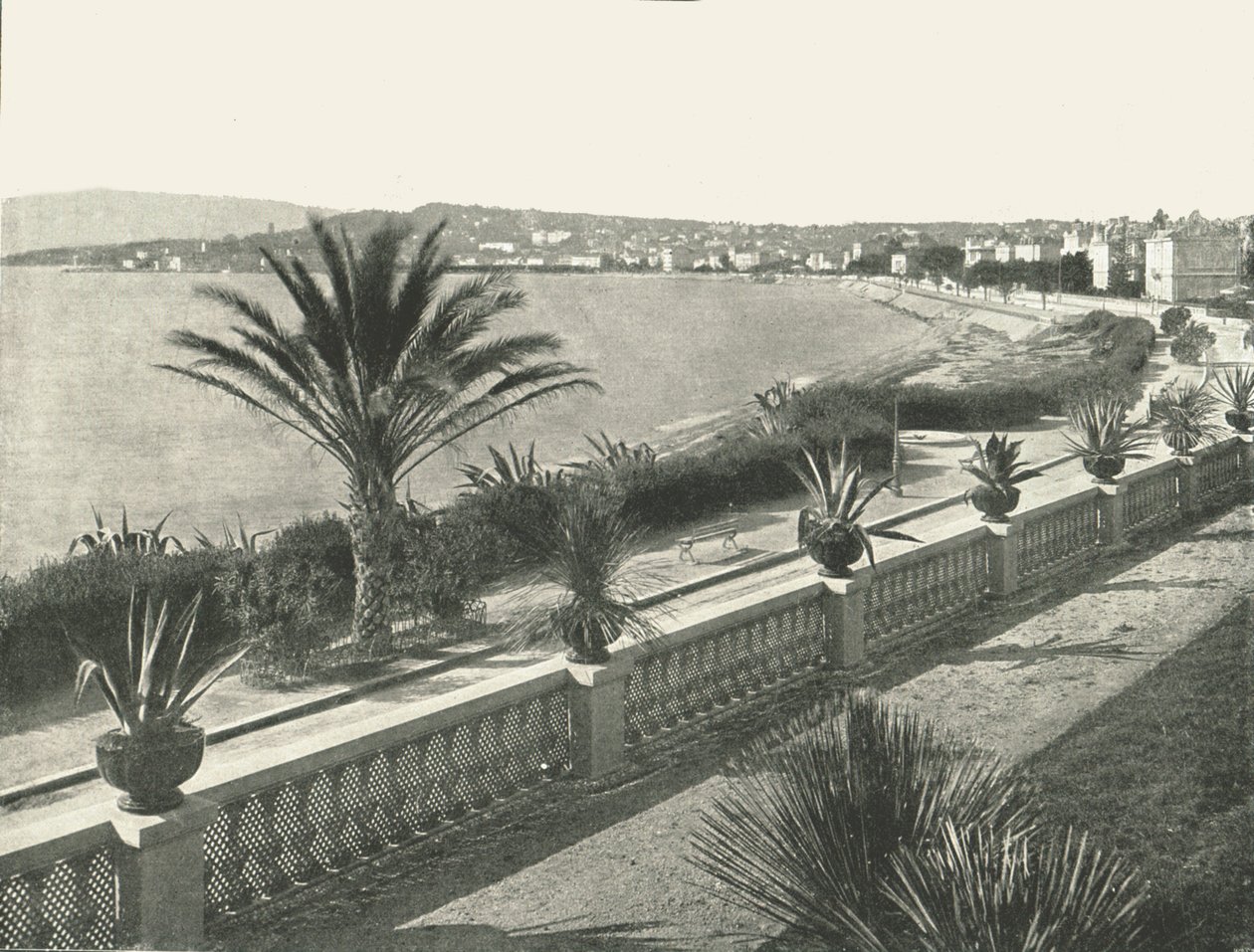 El panorama de La Croisette, Cannes, Francia, 1895 de Unbekannt
