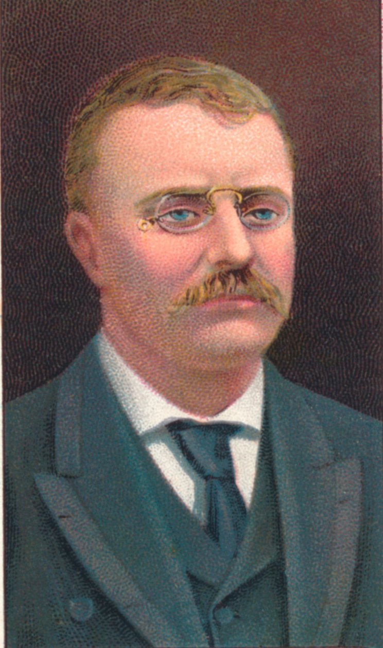 Theodore Roosevelt, 26º presidente de los Estados Unidos, 1906 de Unbekannt