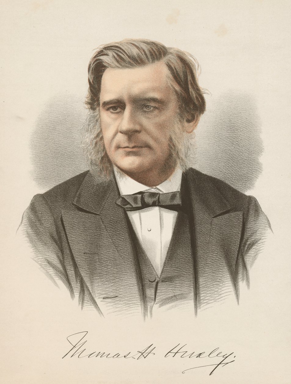 Thomas Henry Huxley, biólogo inglés, c1880 de Unbekannt