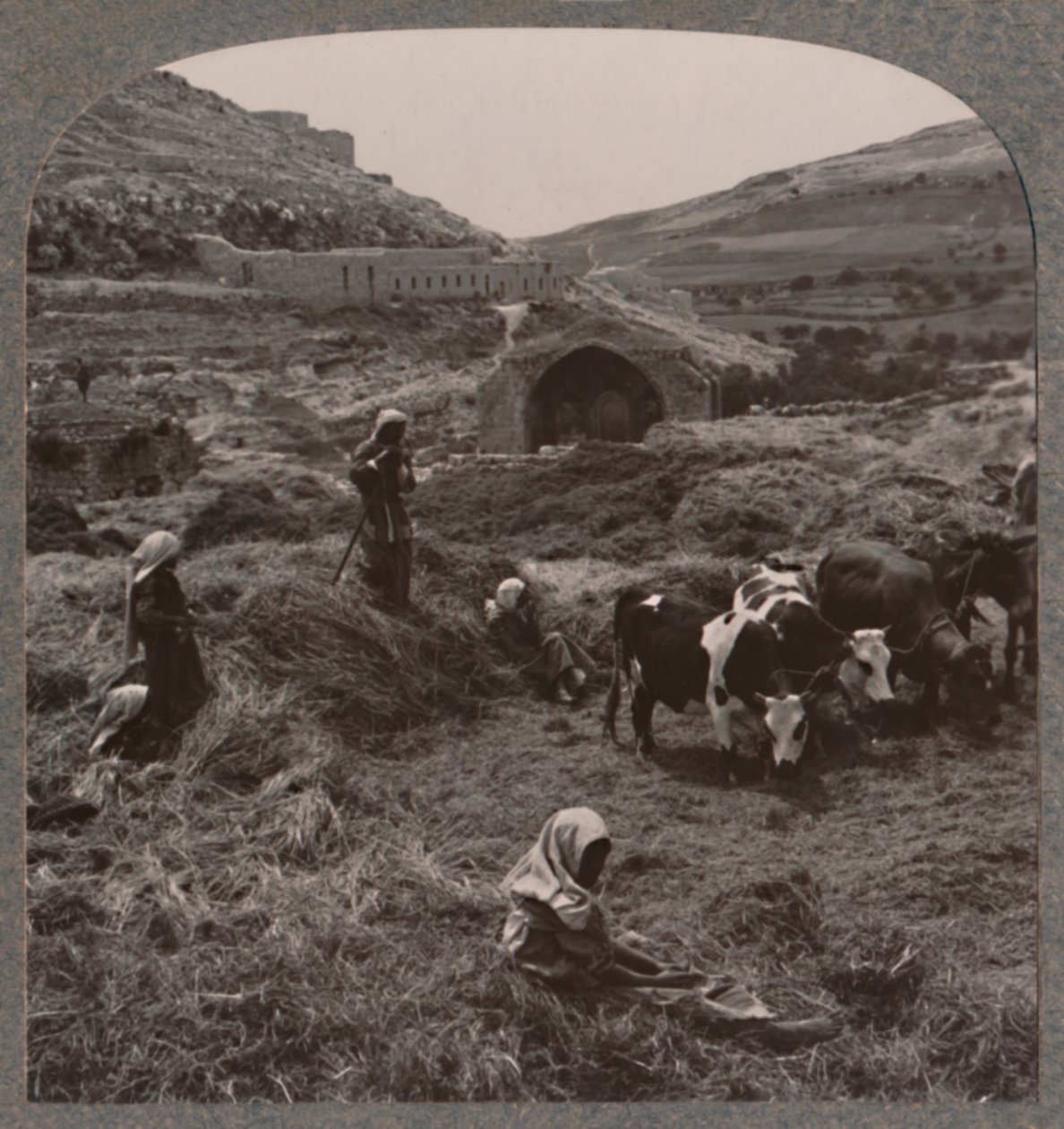 Trillando grano cerca del Pozo de Jacob, c. 1900 de Unbekannt