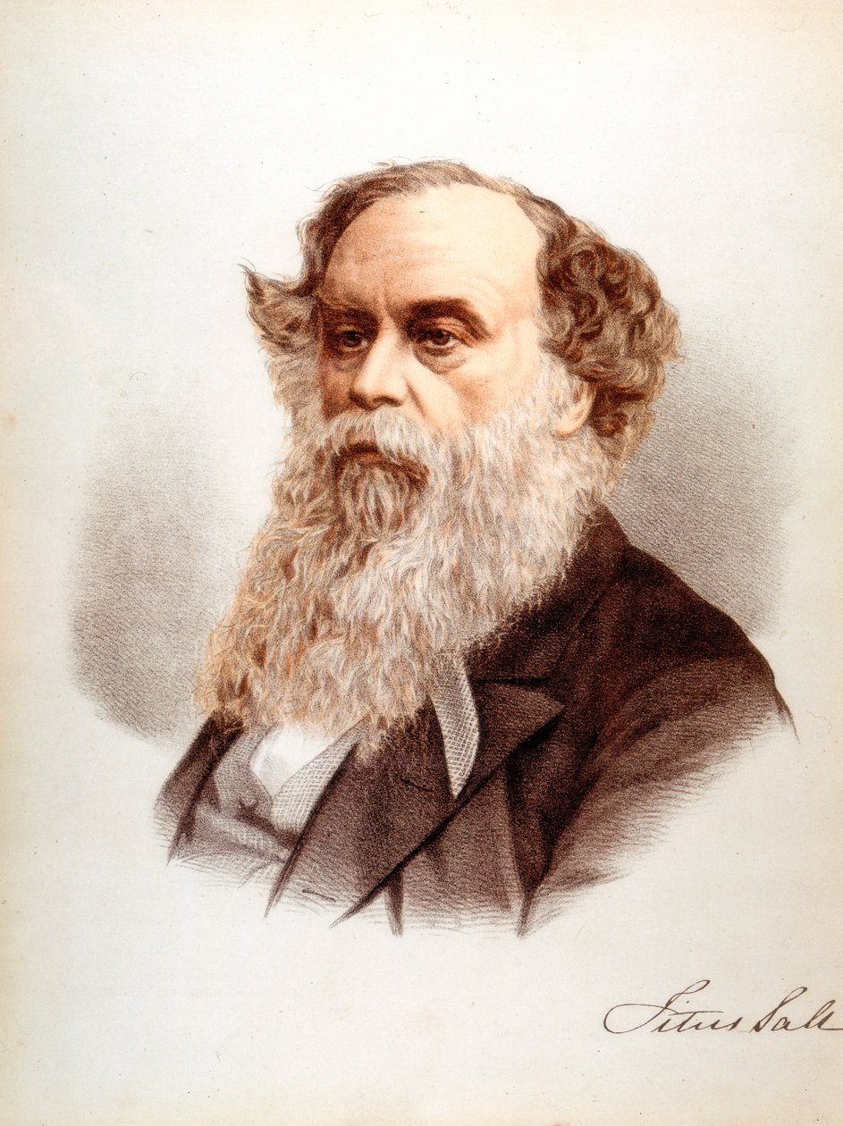 Titus Salt, comerciante de lana e industrial británico, c.1880 de Unbekannt