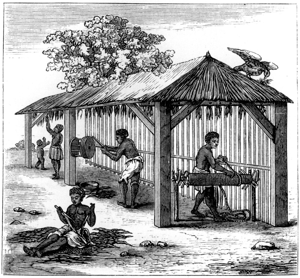 Preparación del tabaco, 1873 de Unbekannt