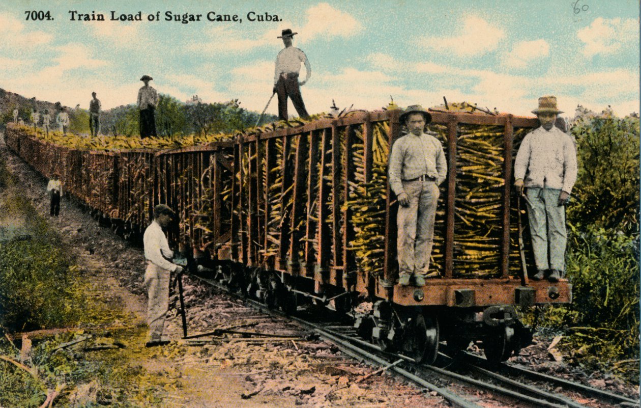 Carga de tren de caña de azúcar saliendo del campo, Cuba, 1915 de Unbekannt