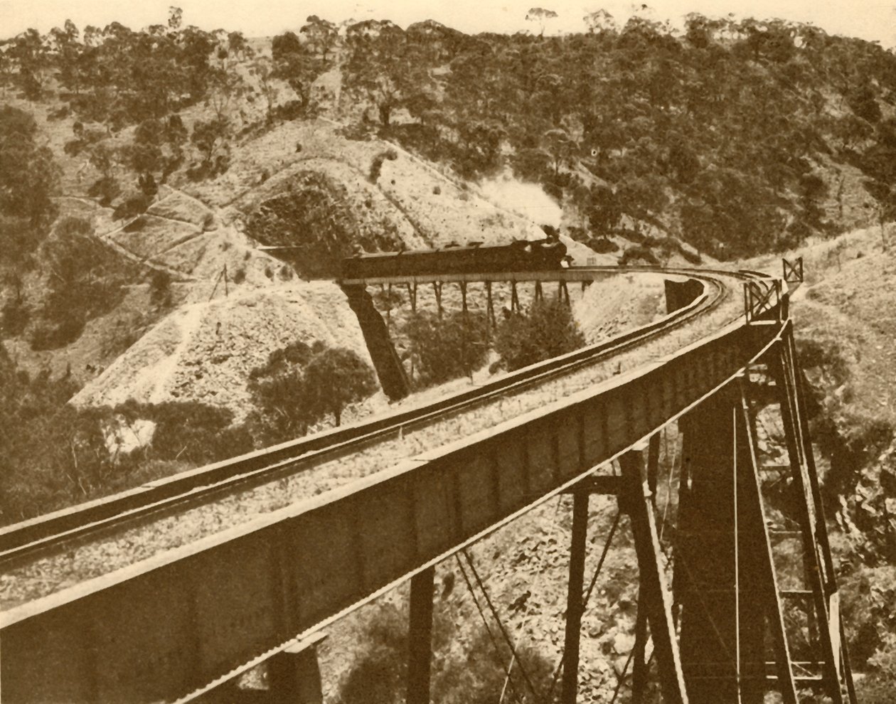 Tren pasando sobre el viaducto, Monte Lofty Range, Australia del Sur, 1930 de Unbekannt