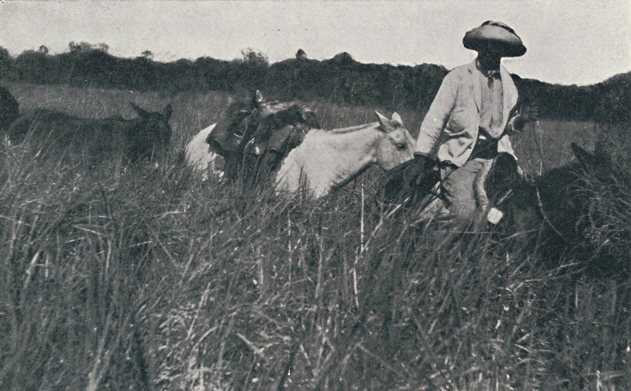 Viaje por las Pampas, 1916 de Unbekannt