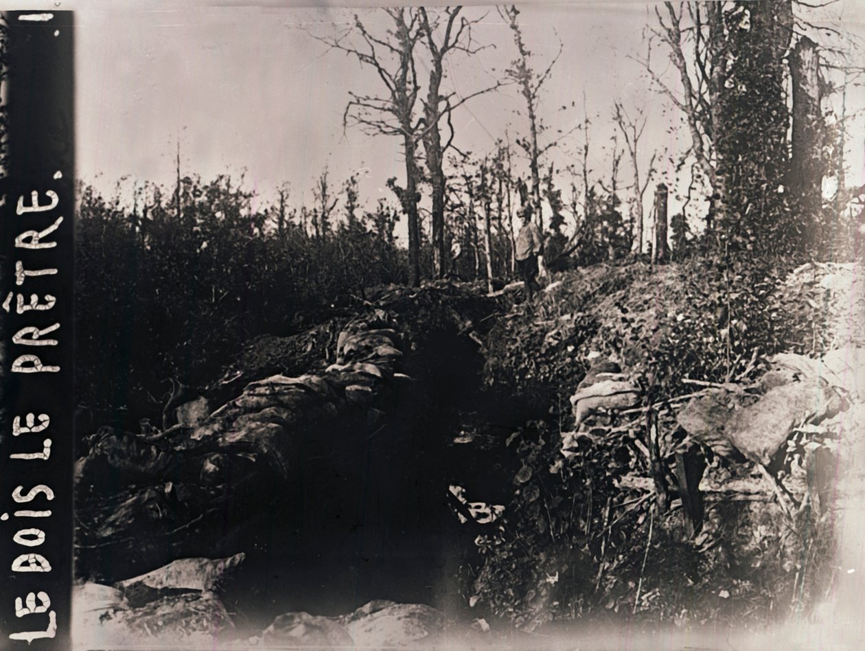 Trincheras, Bois-le-Prêtre, Lorena, norte de Francia, c. 1914-c. 1918 de Unbekannt