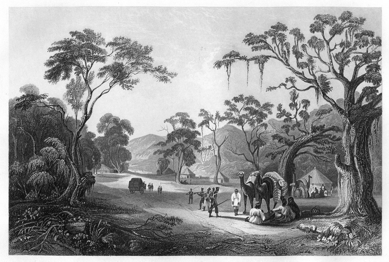 Tropas acampadas en la entrada del Paso Keree, al norte de Meerut, India, c1860 de Unbekannt